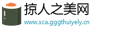 掠人之美网